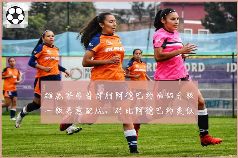 雄鹿字母哥挥肘阿德巴约面部升级一级恶意犯规,对比阿德巴约类似动作未升级
