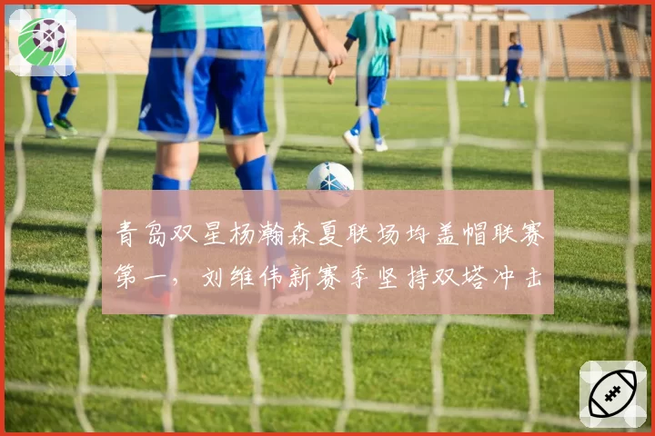 青岛双星杨瀚森夏联场均盖帽联赛第一，刘维伟新赛季坚持双塔冲击季后赛八强